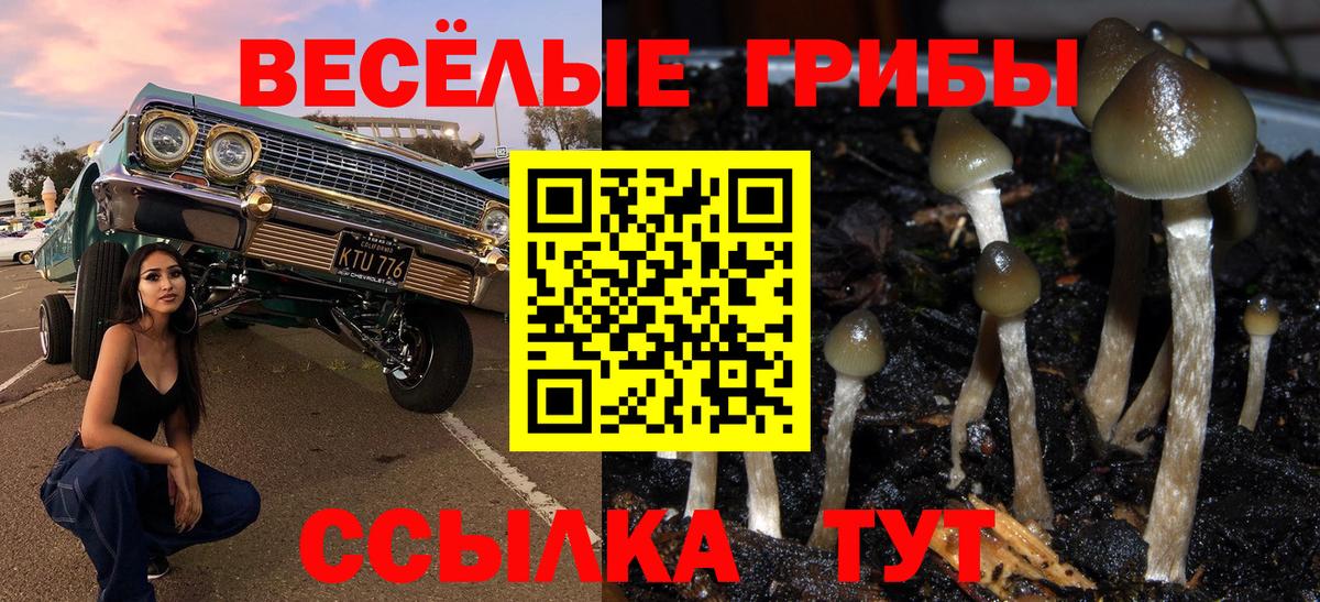 Псилоцибиновые грибы Cubensis  Вход с VPN  Орехово-Зуево  Псилоцибиновые грибы мицелий 
